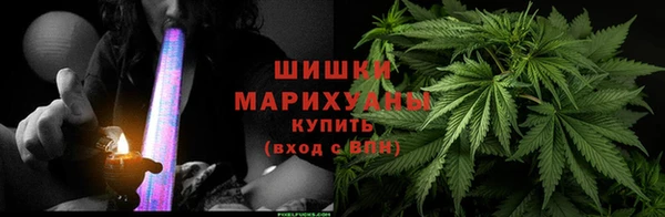 СК Вязьма
