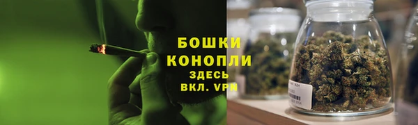 дурь Горнозаводск