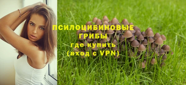 СК Вязьма